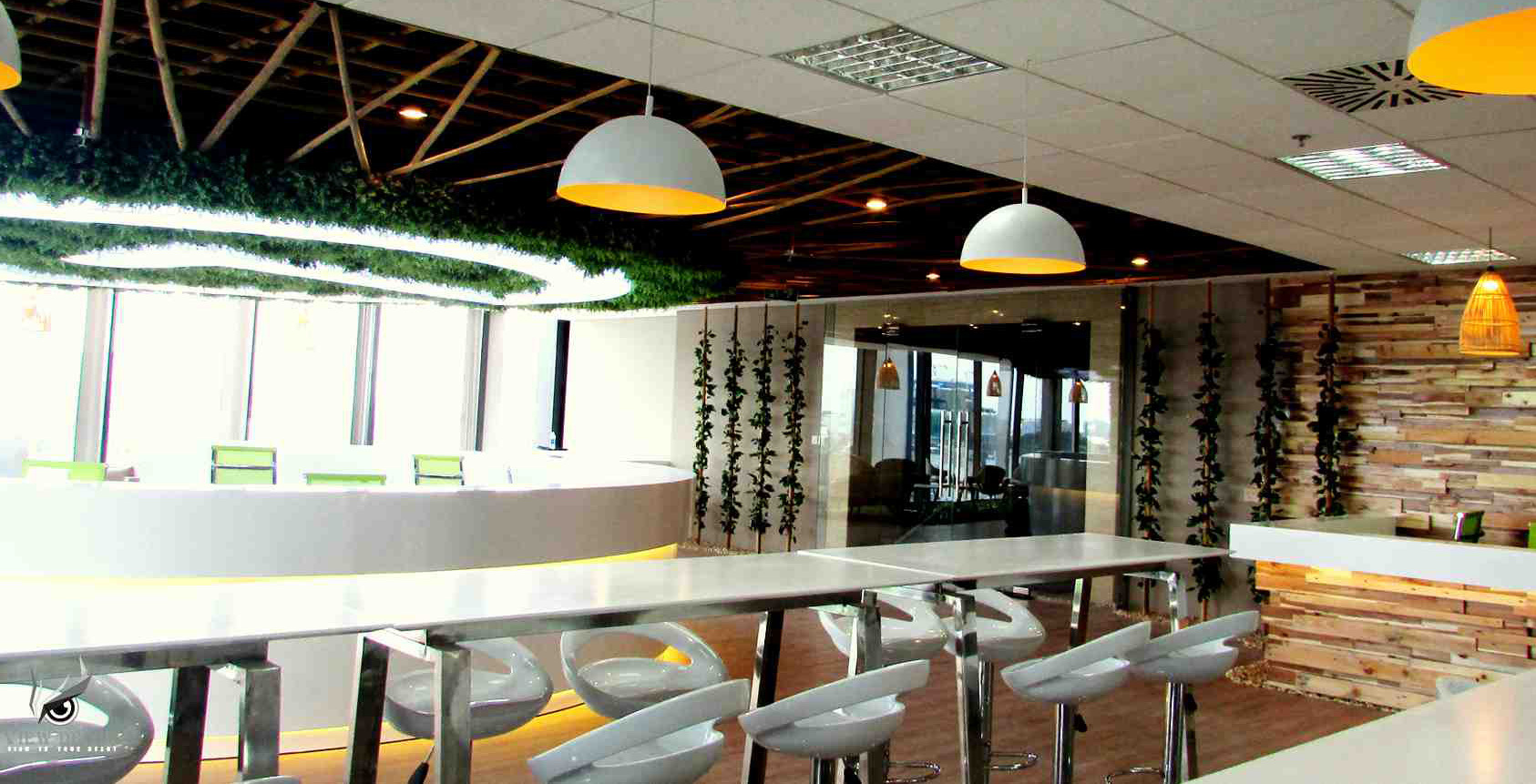 Thi Công Văn Phòng công ty Diavita Viet Nam